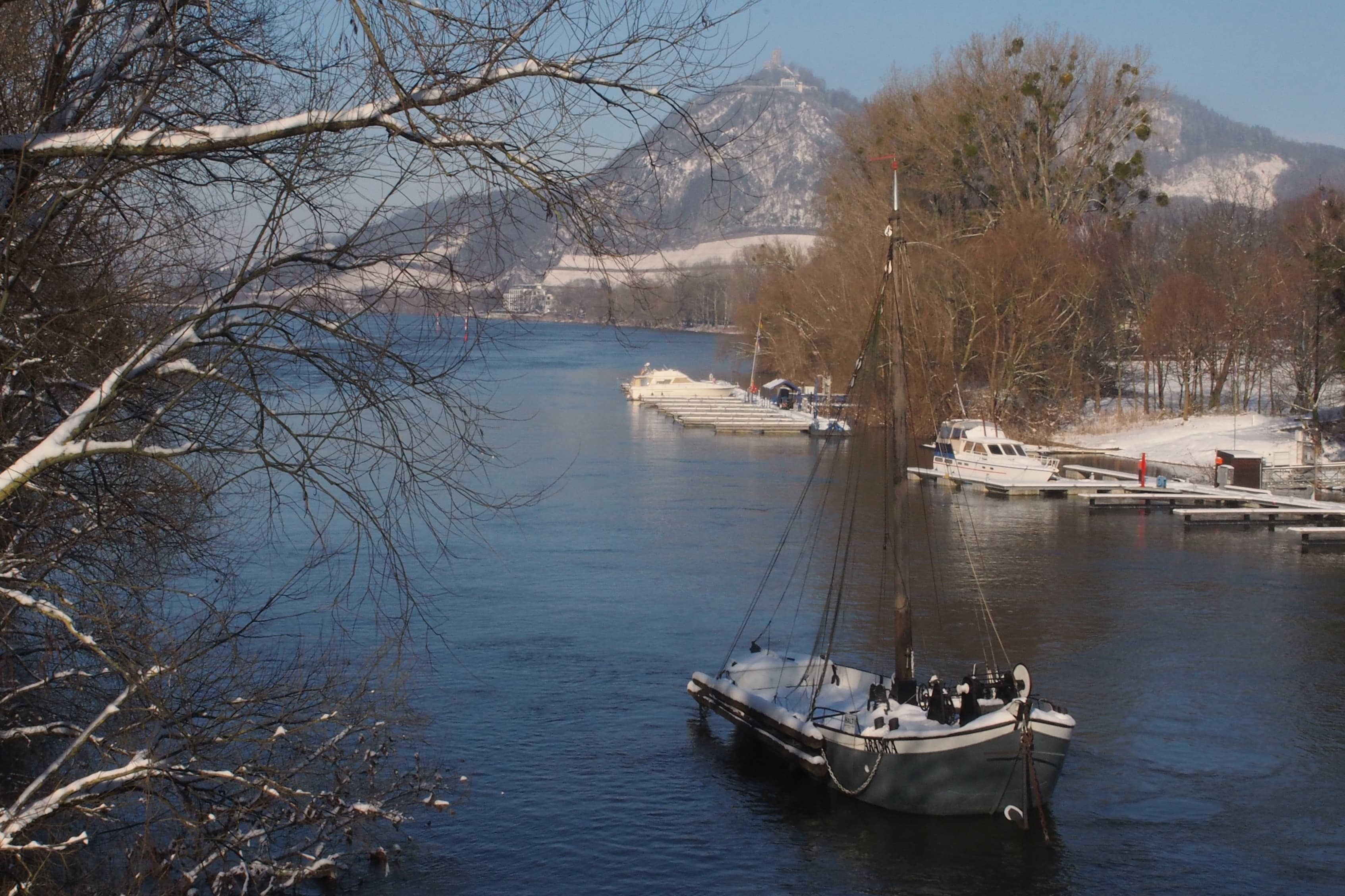 Aalschocker Aranka in Bad Honnef